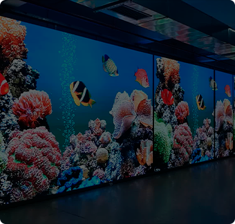 LED Экраны LED Экраны